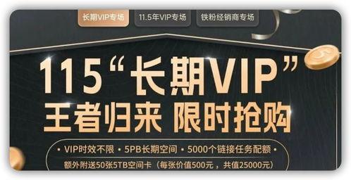 国产vip